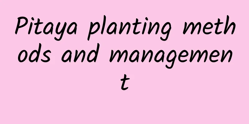 Pitaya planting methods and management