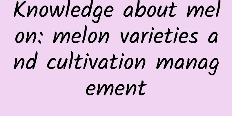 Knowledge about melon: melon varieties and cultivation management