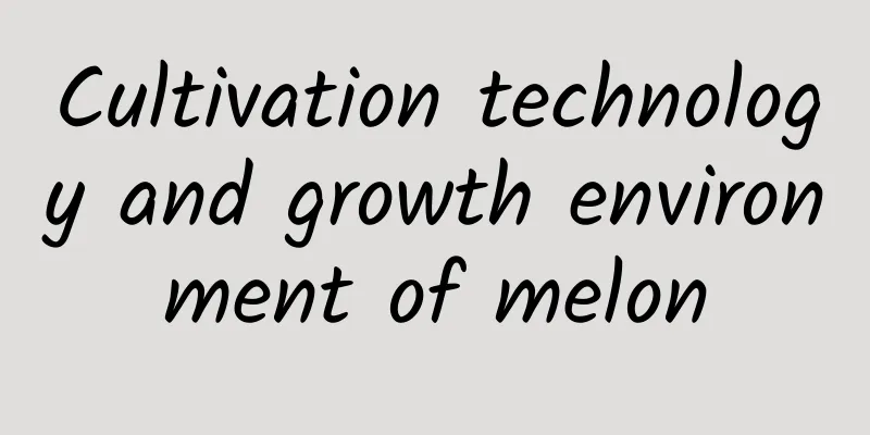 Cultivation technology and growth environment of melon