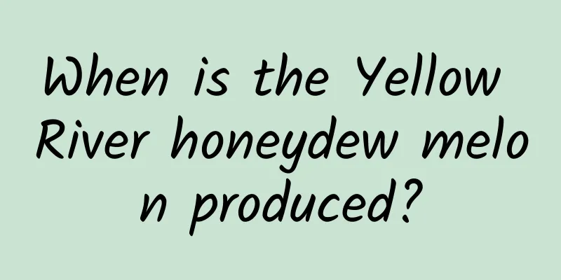 When is the Yellow River honeydew melon produced?