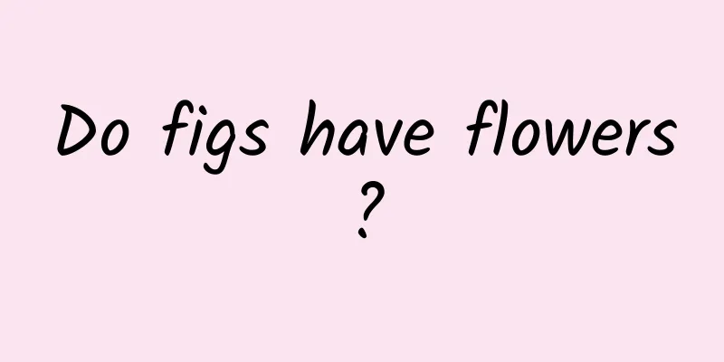 Do figs have flowers?