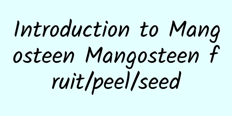 Introduction to Mangosteen Mangosteen fruit/peel/seed