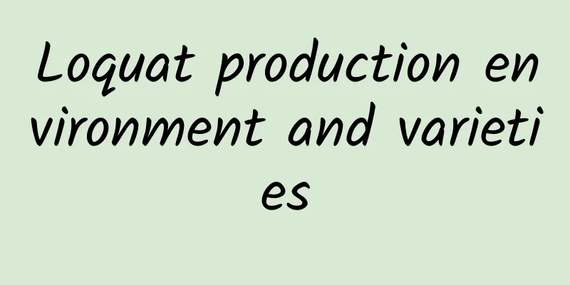 Loquat production environment and varieties