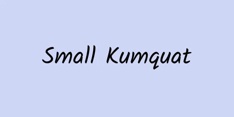 Small Kumquat