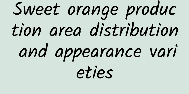 Sweet orange production area distribution and appearance varieties