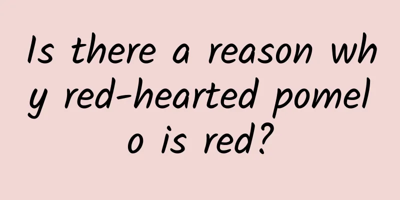 Is there a reason why red-hearted pomelo is red?