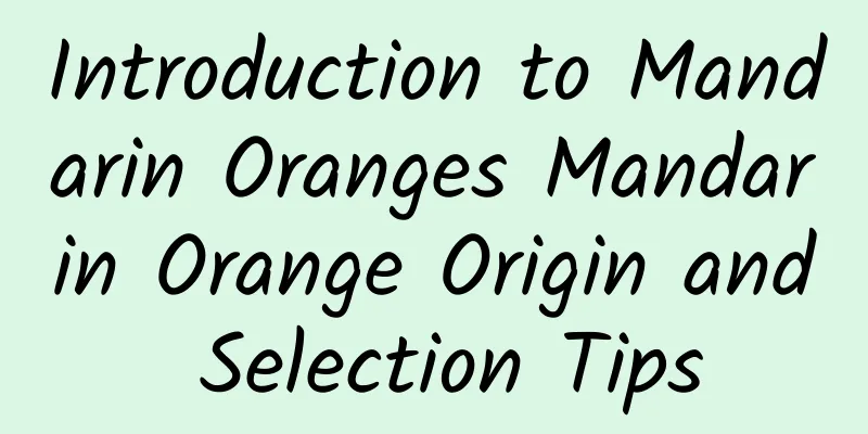 Introduction to Mandarin Oranges Mandarin Orange Origin and Selection Tips