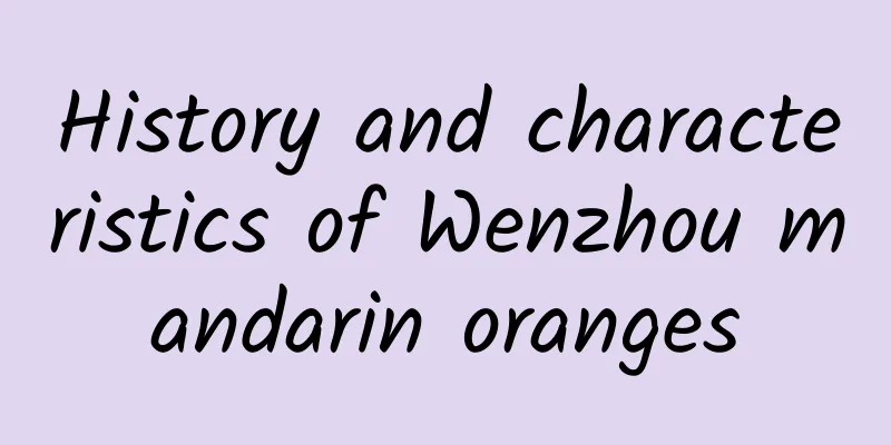 History and characteristics of Wenzhou mandarin oranges