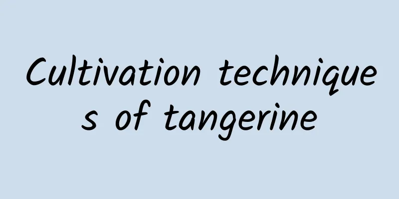 Cultivation techniques of tangerine