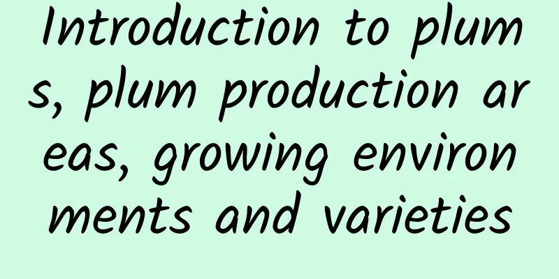 Introduction to plums, plum production areas, growing environments and varieties