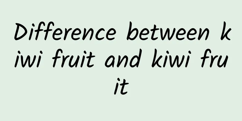 Difference between kiwi fruit and kiwi fruit