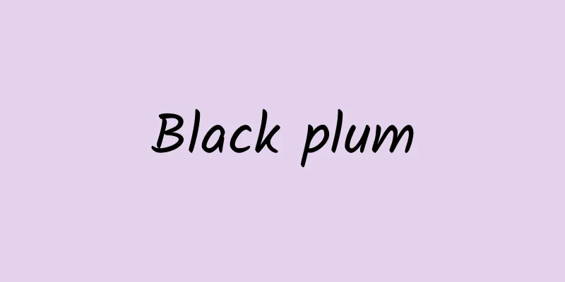 Black plum