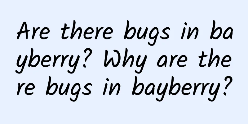 Are there bugs in bayberry? Why are there bugs in bayberry?