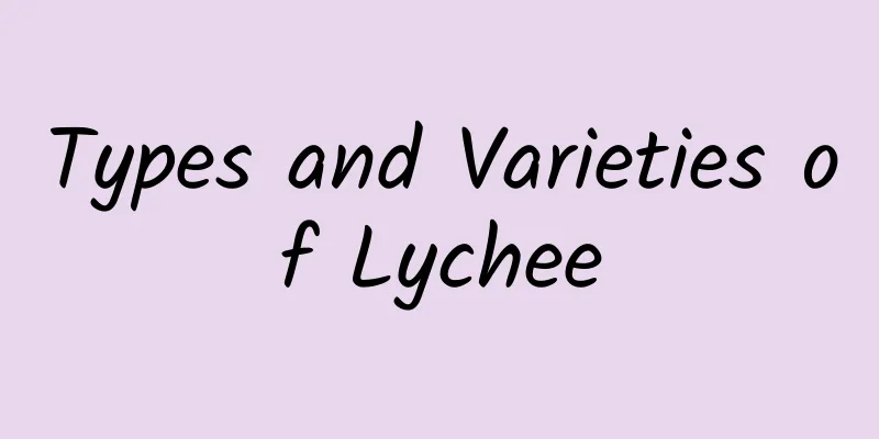 Types and Varieties of Lychee