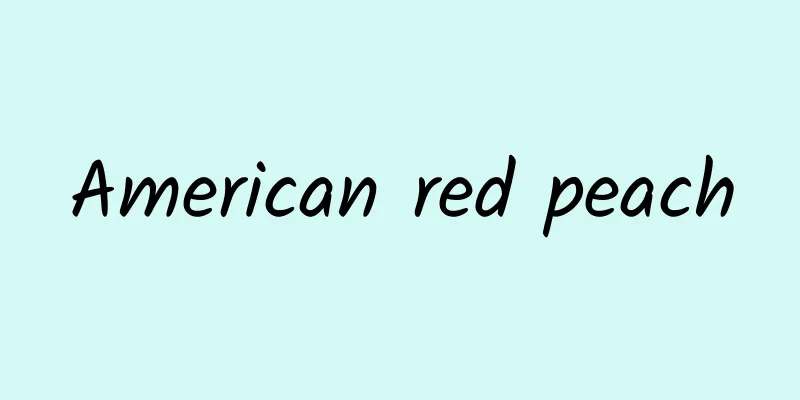 American red peach