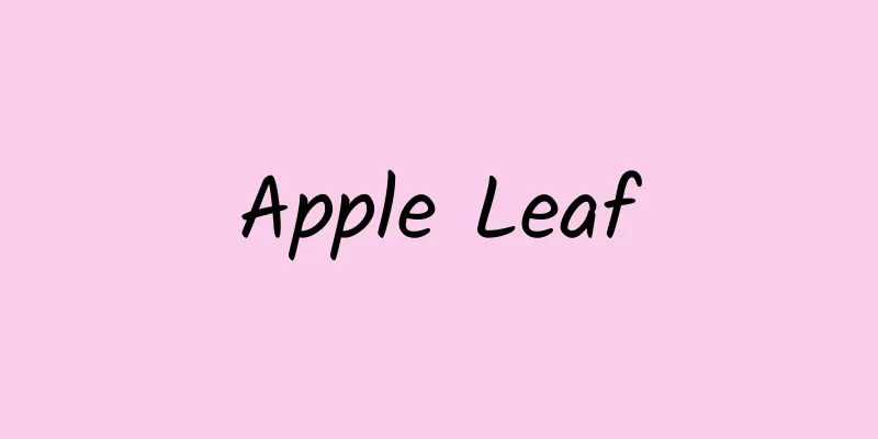 Apple Leaf