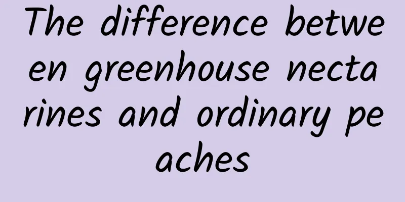 The difference between greenhouse nectarines and ordinary peaches