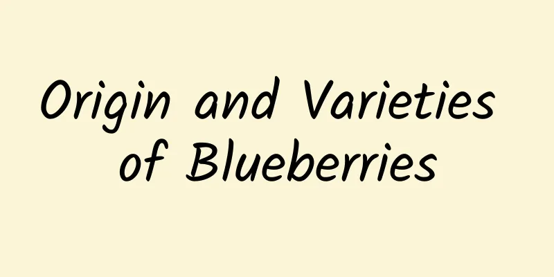 Origin and Varieties of Blueberries