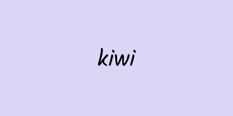 kiwi