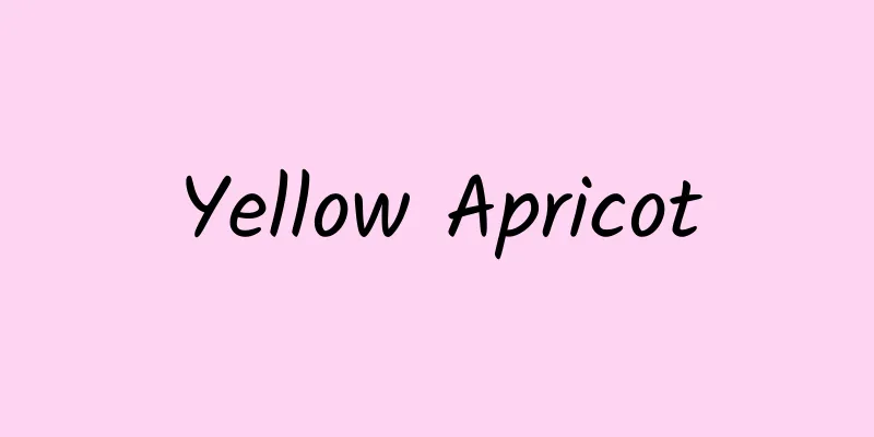 Yellow Apricot