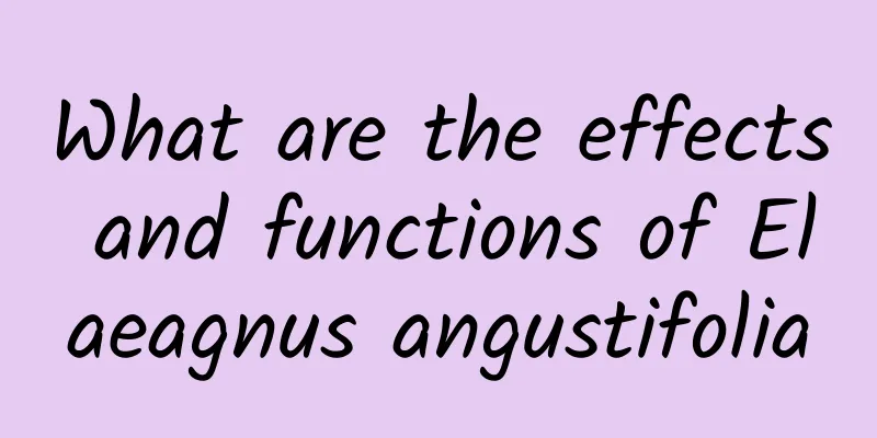 What are the effects and functions of Elaeagnus angustifolia