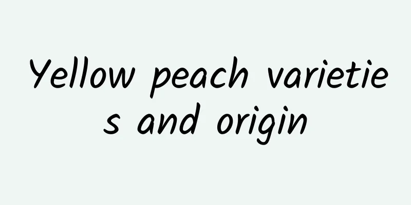 Yellow peach varieties and origin