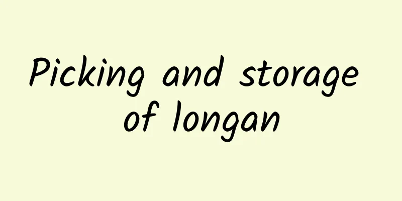 Picking and storage of longan