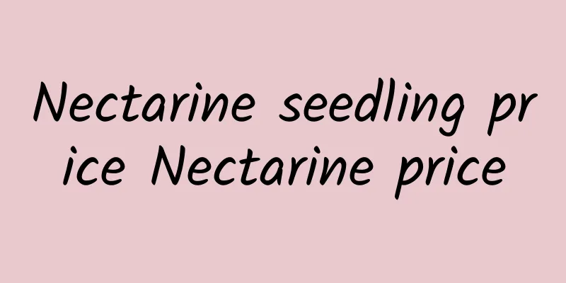 Nectarine seedling price Nectarine price