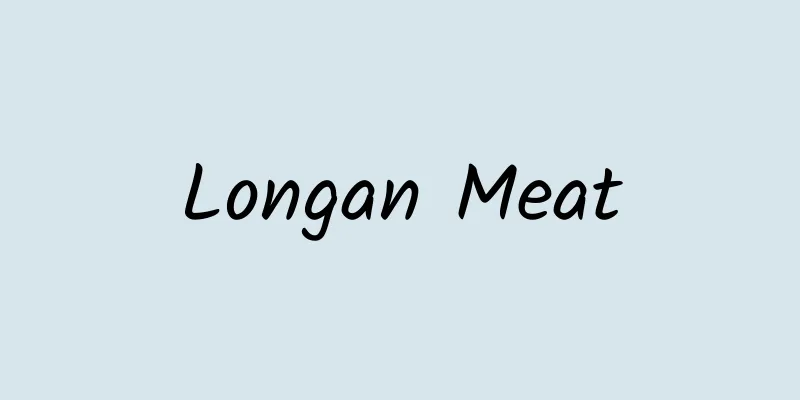 Longan Meat