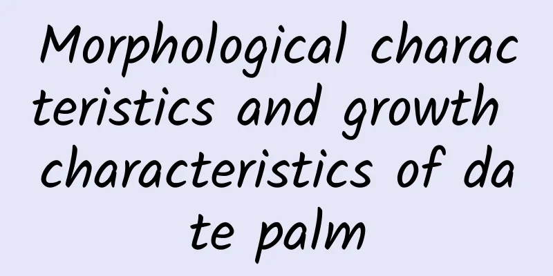 Morphological characteristics and growth characteristics of date palm