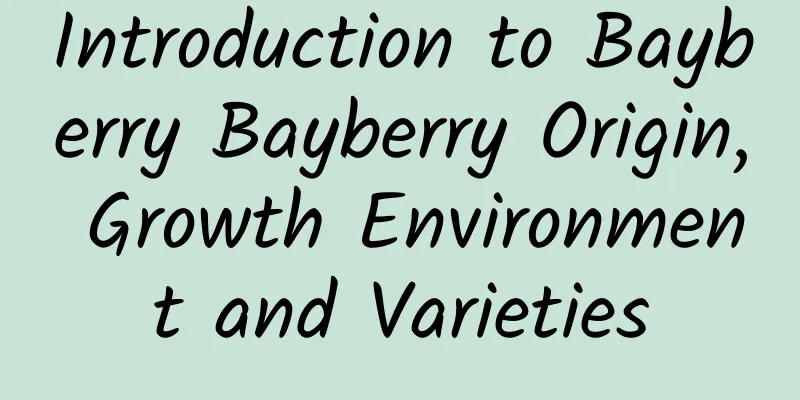 Introduction to Bayberry Bayberry Origin, Growth Environment and Varieties