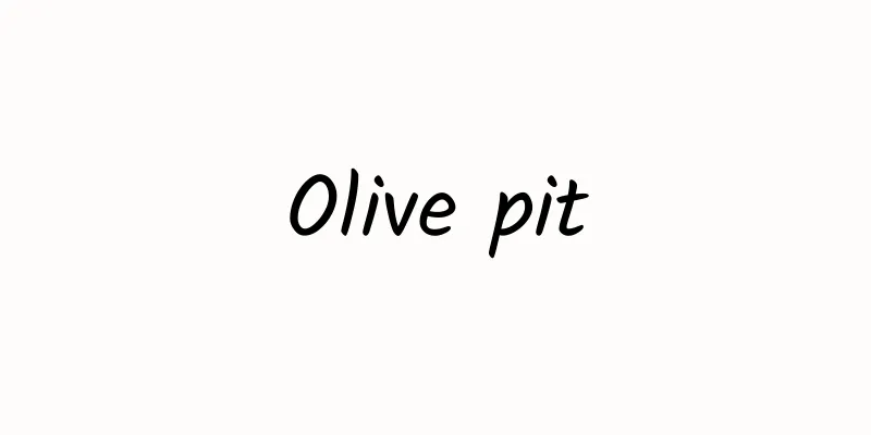 Olive pit