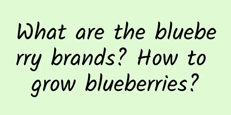 What are the blueberry brands? How to grow blueberries?