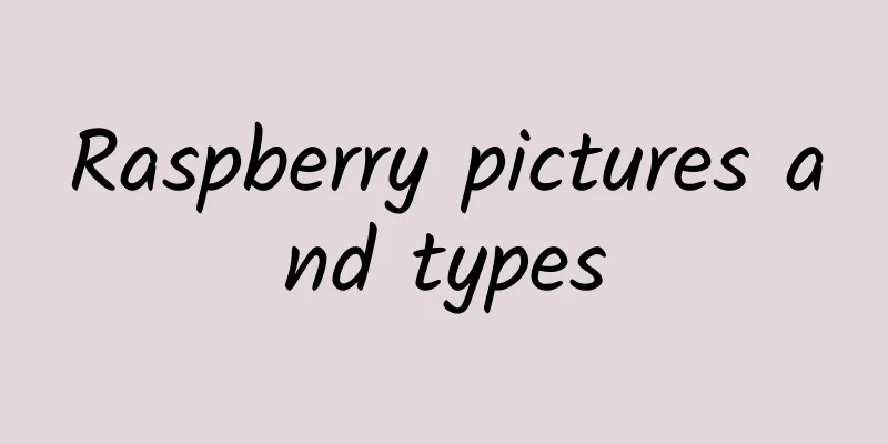 Raspberry pictures and types