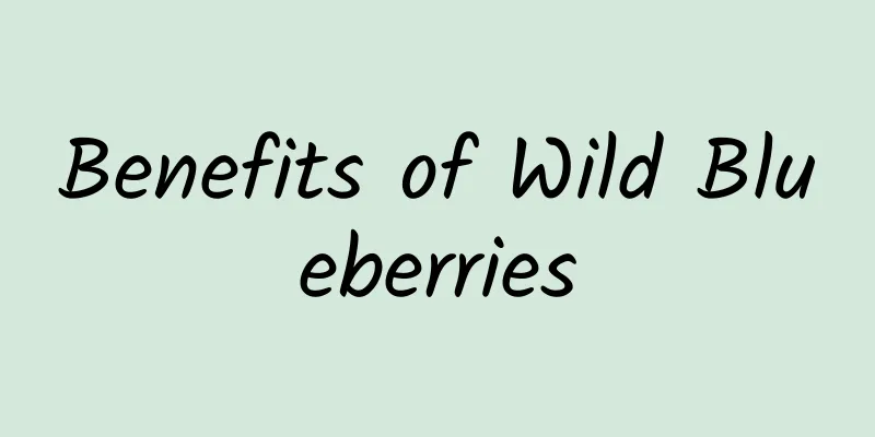 Benefits of Wild Blueberries