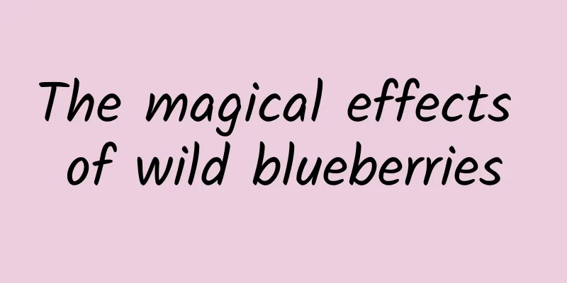 The magical effects of wild blueberries