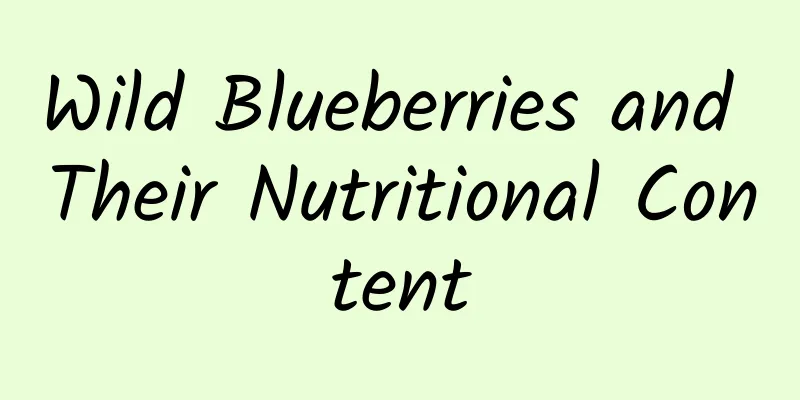 Wild Blueberries and Their Nutritional Content