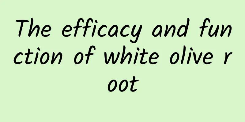 The efficacy and function of white olive root