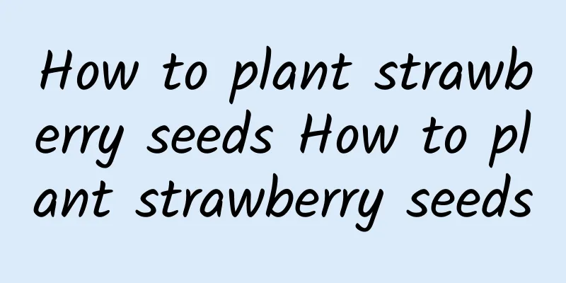 How to plant strawberry seeds How to plant strawberry seeds