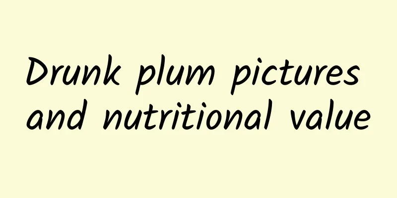 Drunk plum pictures and nutritional value