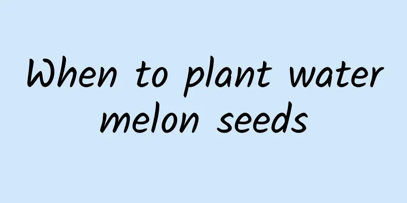 When to plant watermelon seeds