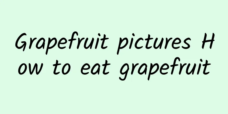 Grapefruit pictures How to eat grapefruit