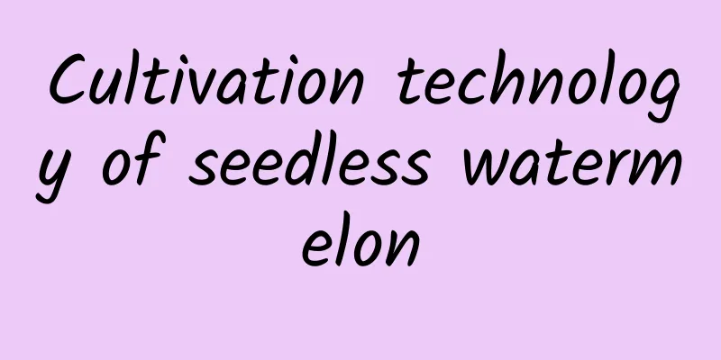 Cultivation technology of seedless watermelon