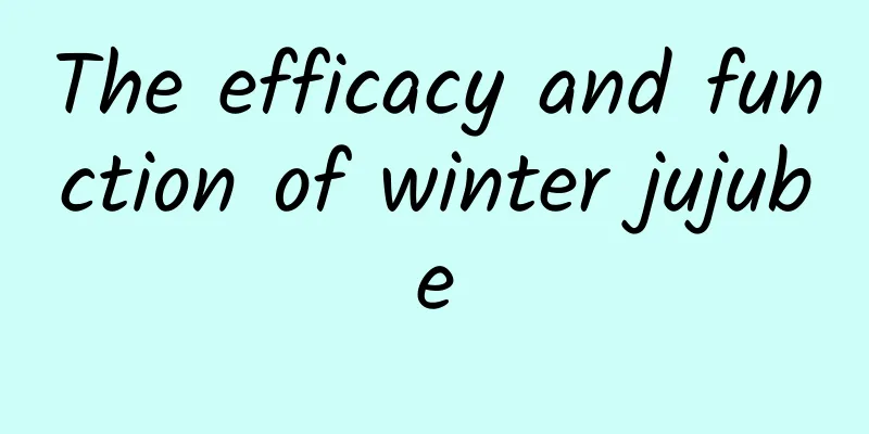 The efficacy and function of winter jujube