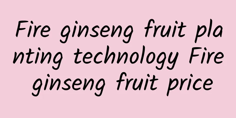 Fire ginseng fruit planting technology Fire ginseng fruit price