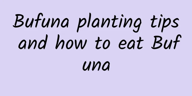 Bufuna planting tips and how to eat Bufuna