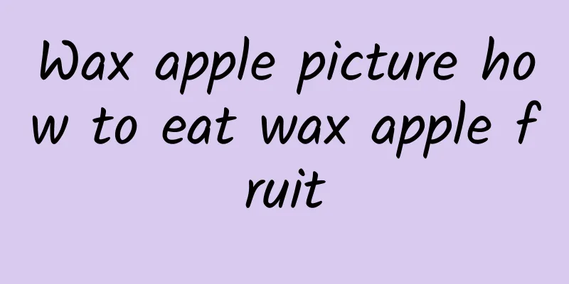 Wax apple picture how to eat wax apple fruit