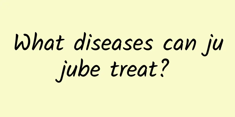 What diseases can jujube treat?