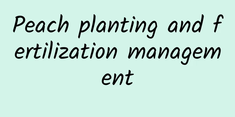 Peach planting and fertilization management