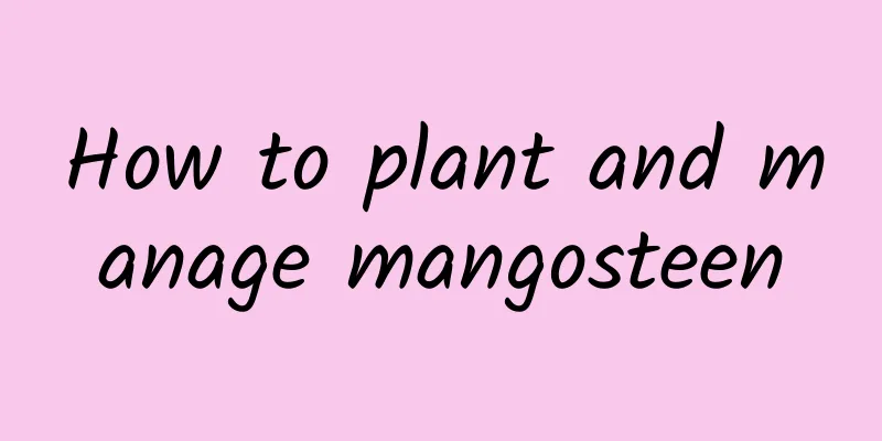 How to plant and manage mangosteen